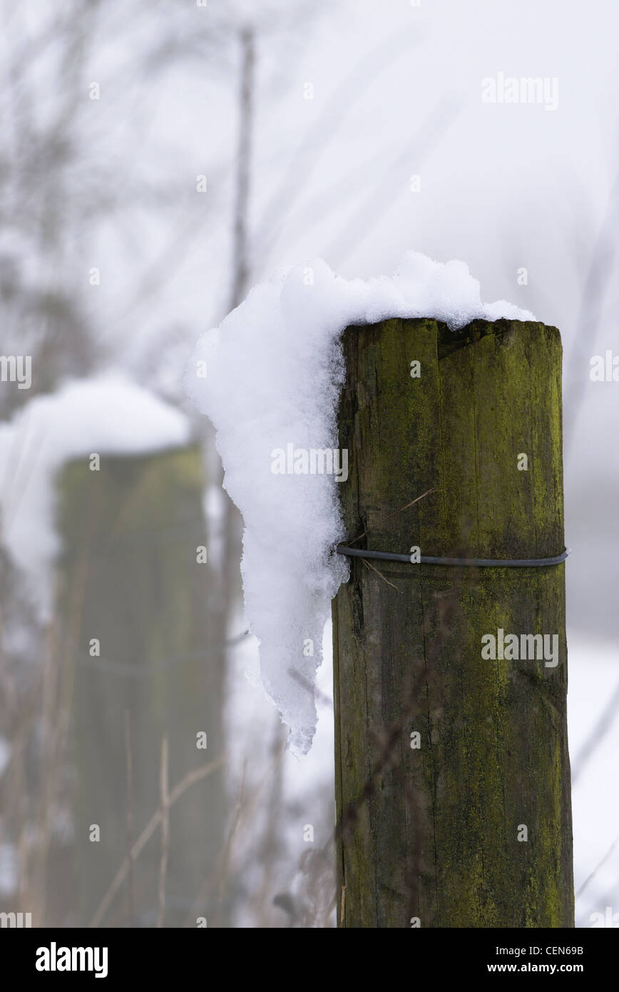 La neve si blocca su di un palo da recinzione nella nebbia di congelamento. Foto Stock