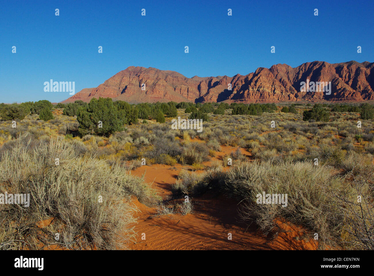 Alta colori del deserto vicino al picco di Jarvis, Shivwits, Utah Foto Stock