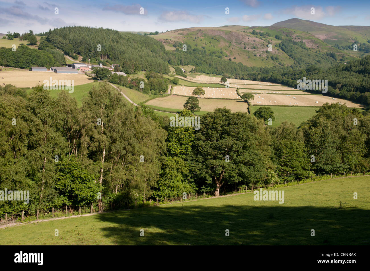 Dee Valley vicino a Llangollen Foto Stock