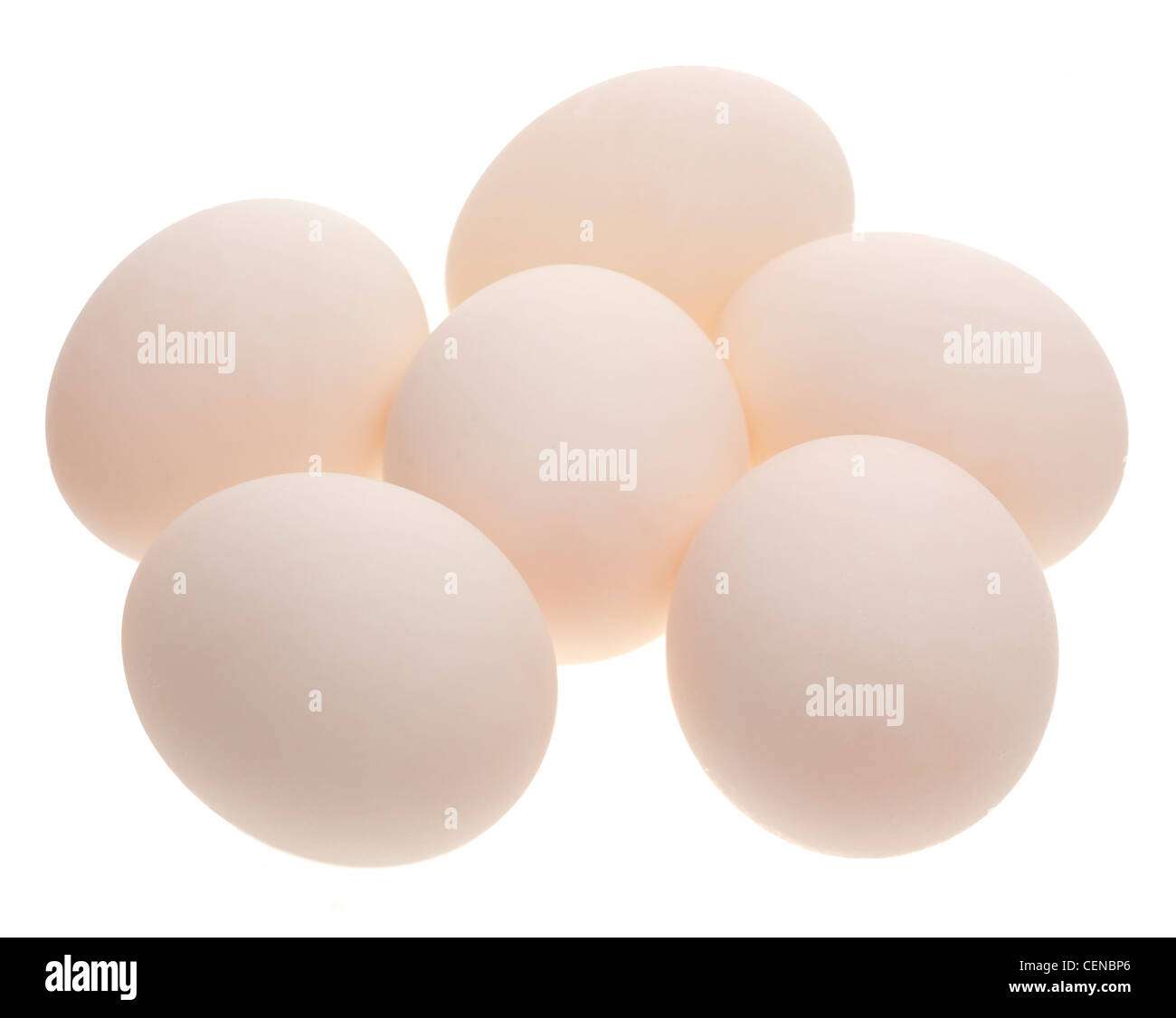 Sei bianco uova di anatra Foto Stock