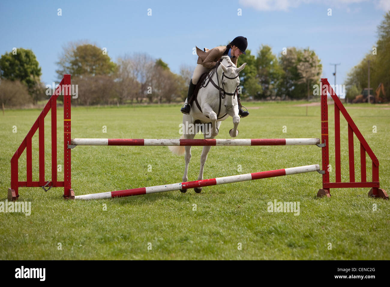 giovane donna che pratica il salto di cavallo. Scozia Foto Stock