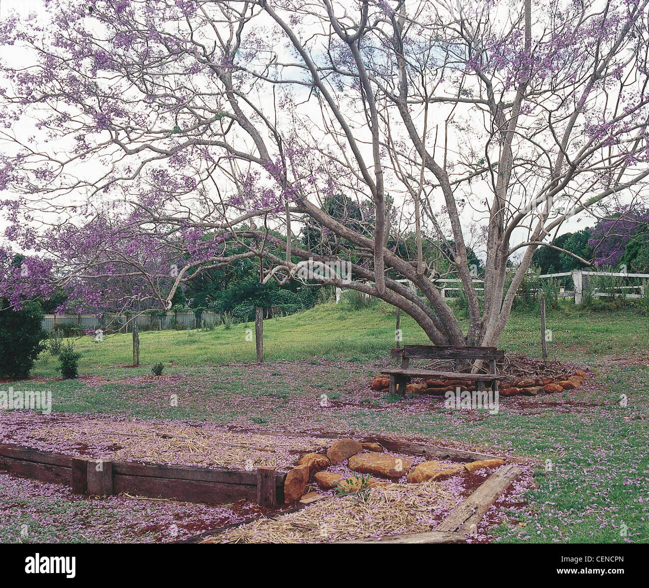 Rose Gold English Country Garden cottage creato da zero dal Rhonda Budden e suo marito in clima insolito di Foto Stock