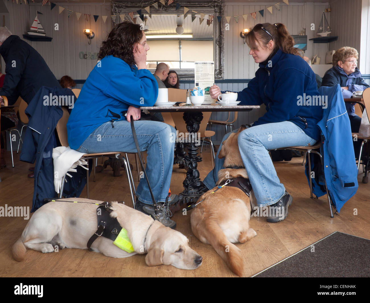 Due donne in una caffetteria con i cani guida che vengono formati Foto Stock