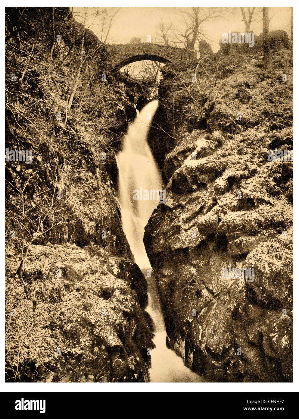 Aira Force cascata Lake District inglese Cumbria Inghilterra UK Aira Beck Stybarrow Dodd Ullswater Lake poeta William Wordsworth Foto Stock