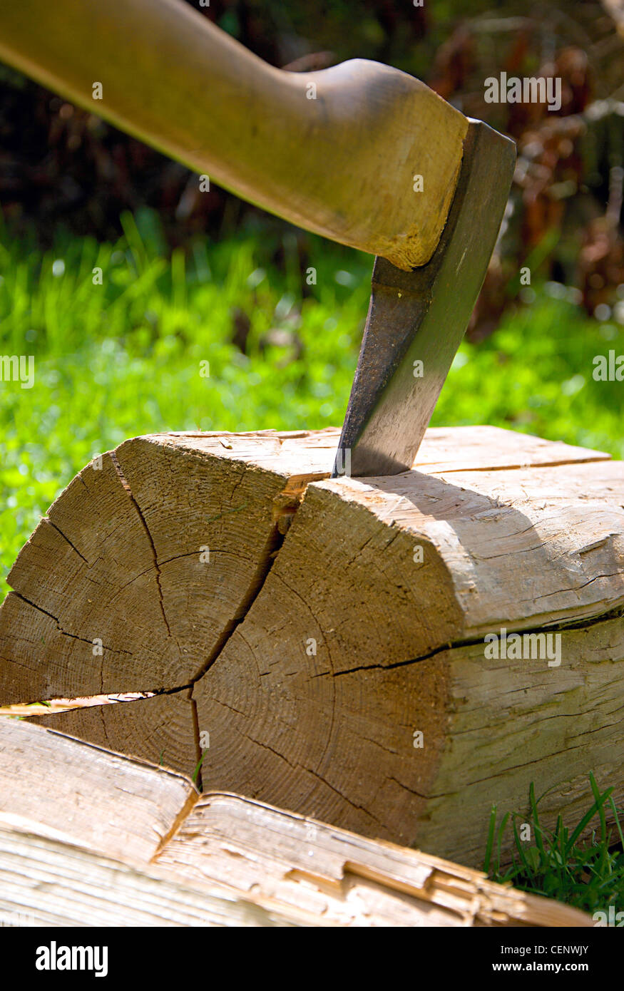 Ax affidato al legno. Foto Stock