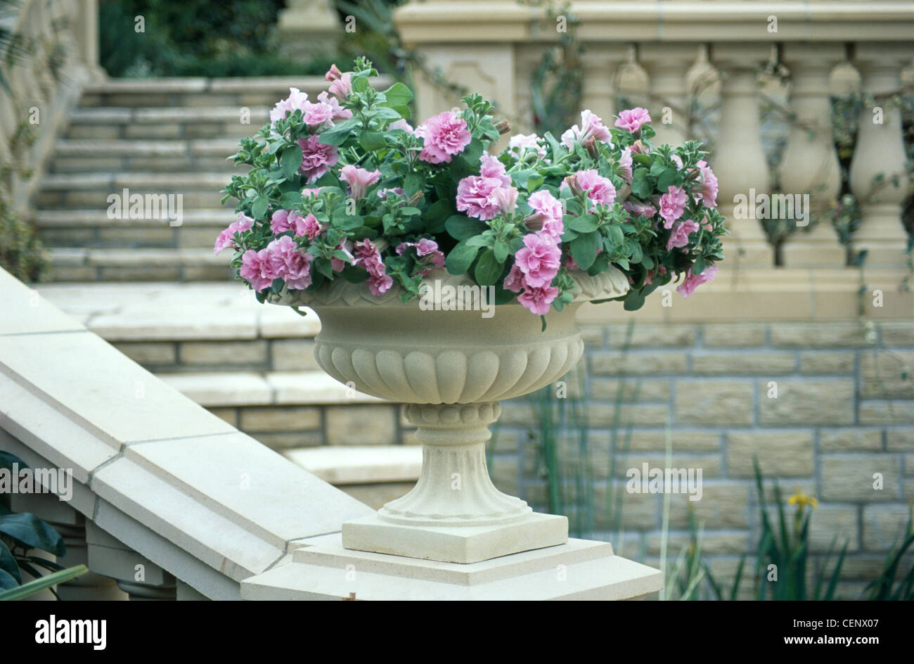 Contenitore Giardinaggio stile classico impianto stampato il contenitore sulla ringhiera del giardino di fasi con doppio viola nelle petunie crescendo in esso Foto Stock