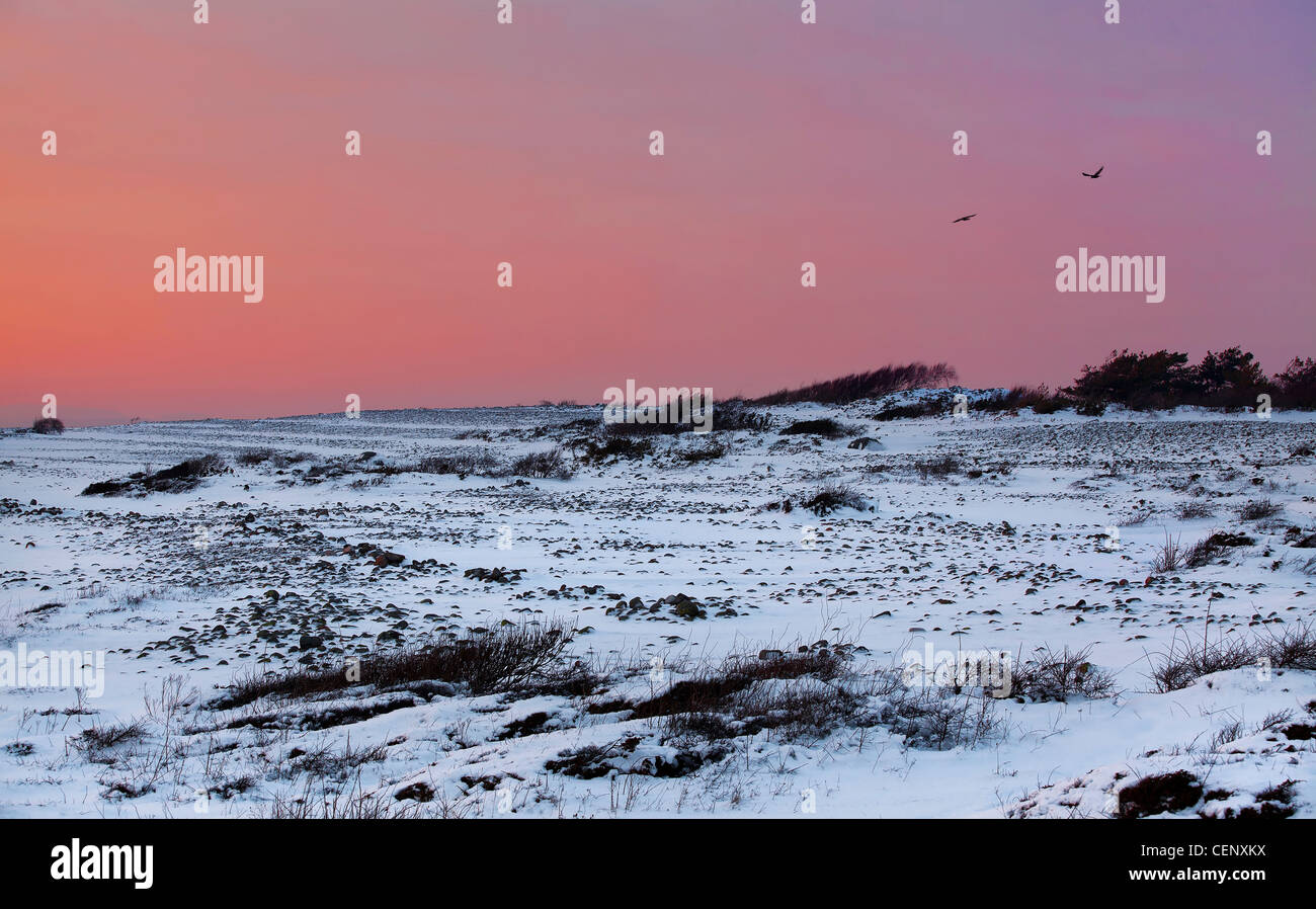 Tramonto in inverno presso la costa norvegese, Moelen Foto Stock