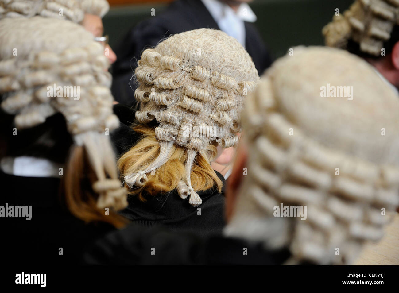 Diritto generico corte di immagine a membri del bar indossando i " barristers " parrucche. Foto Stock