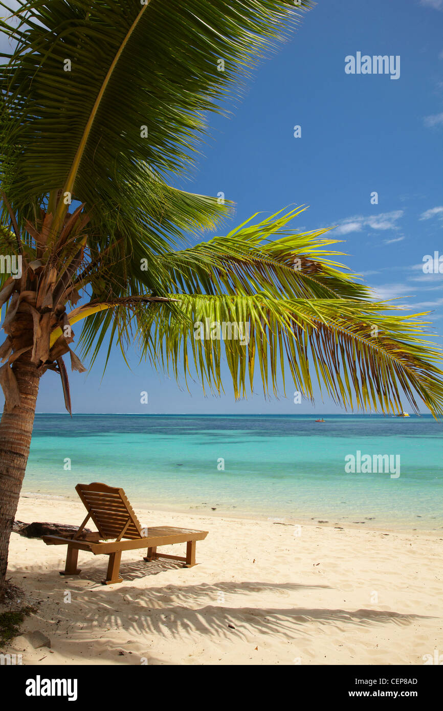 Spiaggia, palme e sdraio, Plantation Island Resort, Malolo Lailai Island, Isole della Mamanuca, Figi e Sud Pacifico Foto Stock