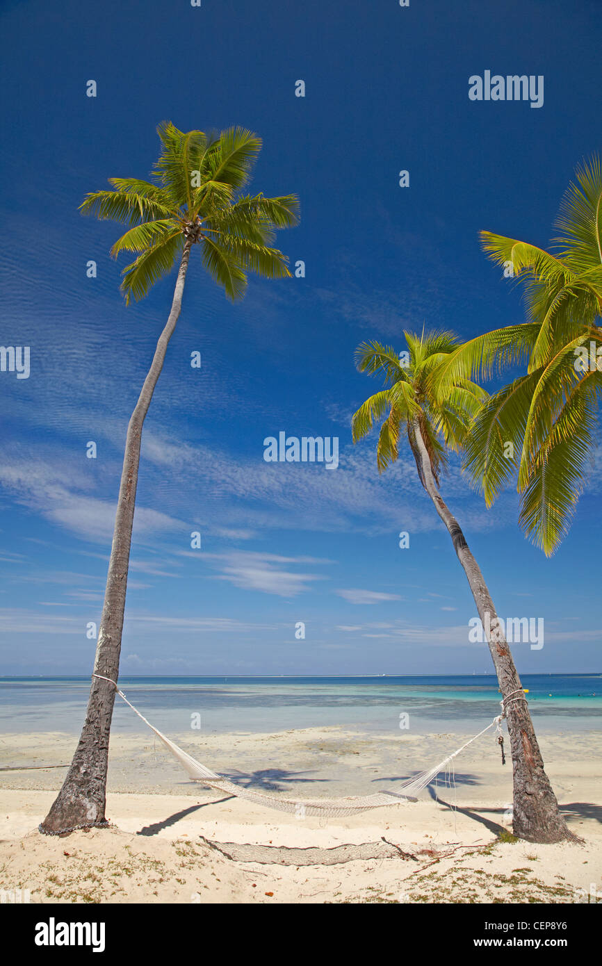 Amaca e palme, Plantation Island Resort, Malolo Lailai Island, Isole della Mamanuca, Figi e Sud Pacifico Foto Stock