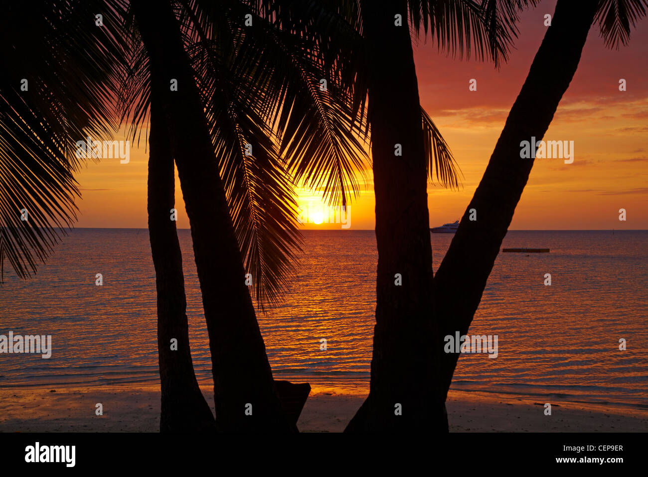 Alberi di palma e al tramonto, Plantation Island Resort, Malolo Lailai Island, Isole della Mamanuca, Figi e Sud Pacifico Foto Stock