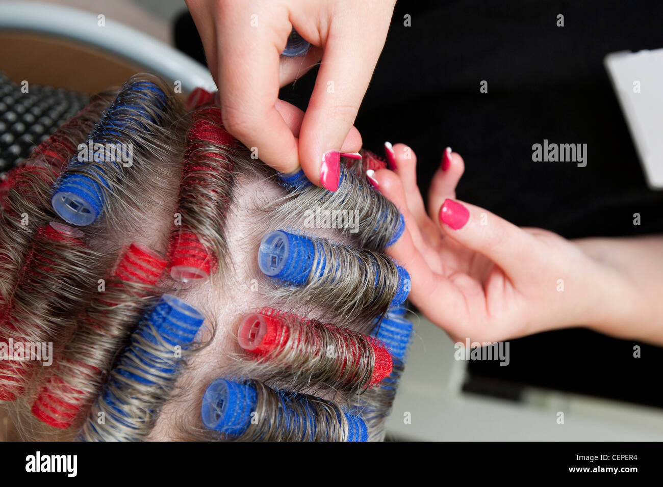 Parrucchiere utilizza plastica i capelli rulli in un senior womens capelli Foto Stock