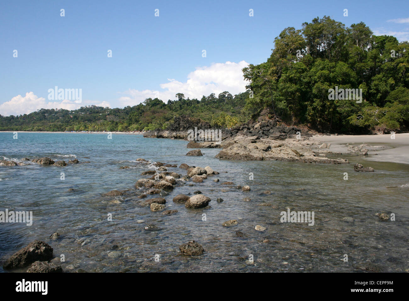 La foresta pluviale tropicale e la spiaggia al Parco Nazionale di Manuel Antonio, Costa Rica Foto Stock