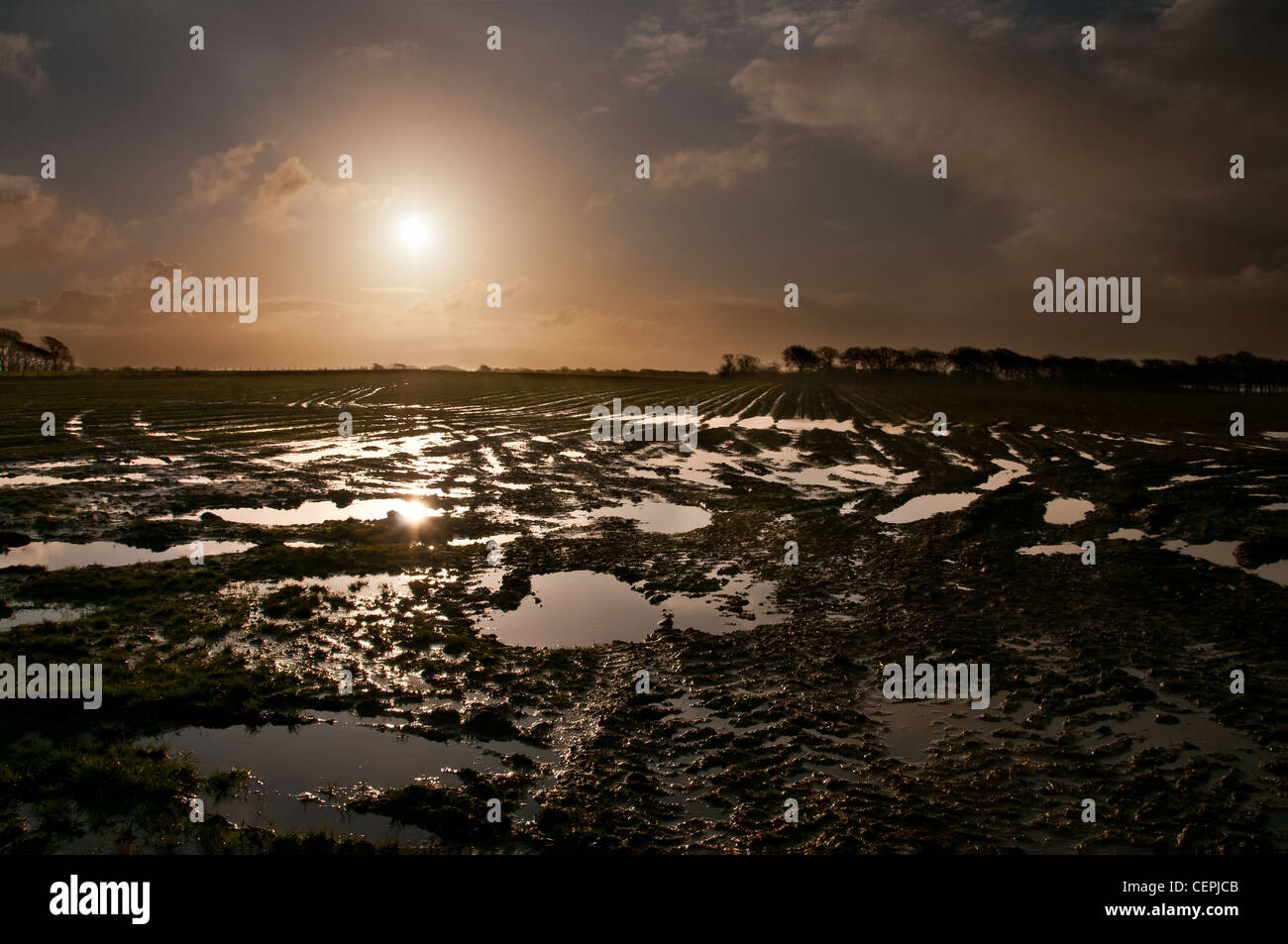 Allagato terreni agricoli,la colorazione,lancashire,l'Inghilterra,uk,l'Europa Foto Stock