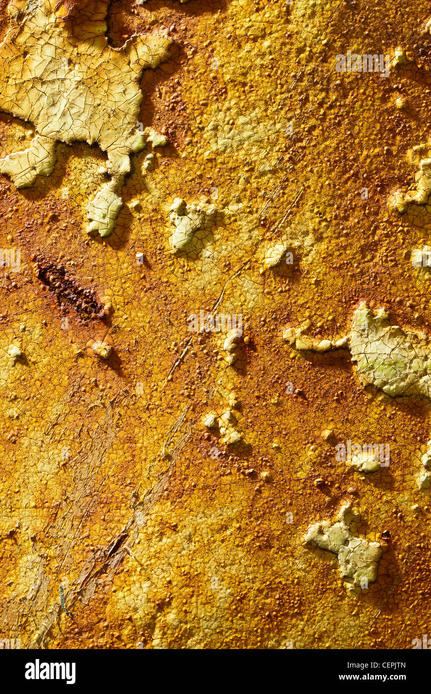 Vecchio arrugginendo metallo saltare contenitore Foto Stock