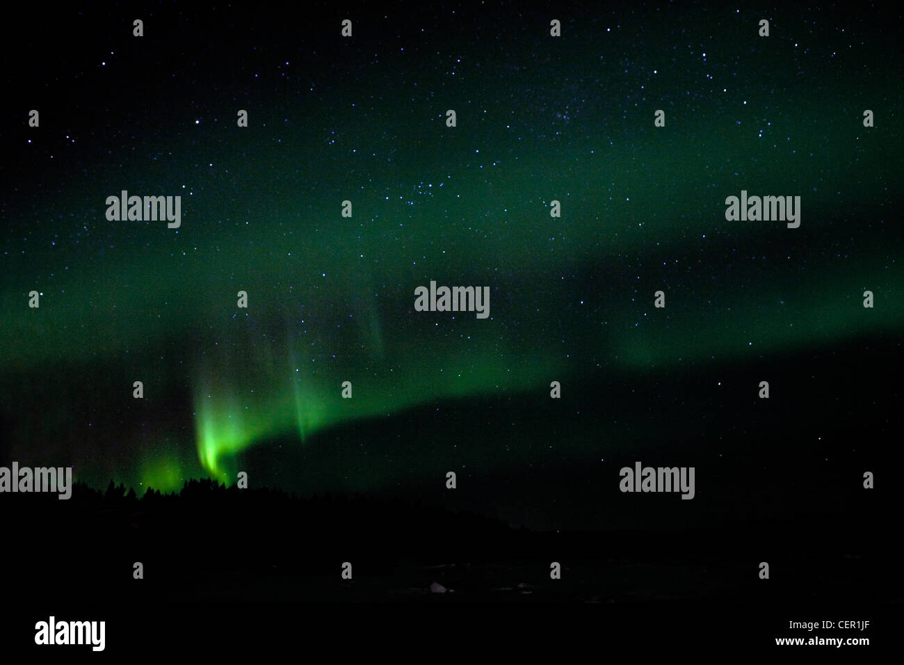 Aurora Boreale luci del Nord, Mare Bianco, Carelia, Russia Foto Stock