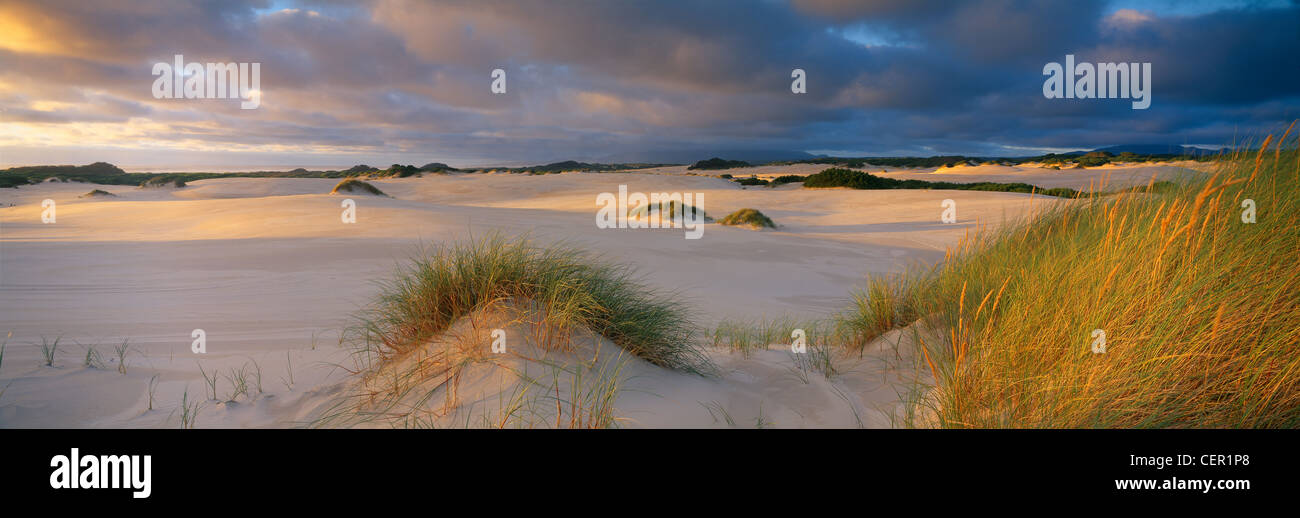 Dune Henty nr Strahan, nella costa occidentale della Tasmania, Australia Foto Stock