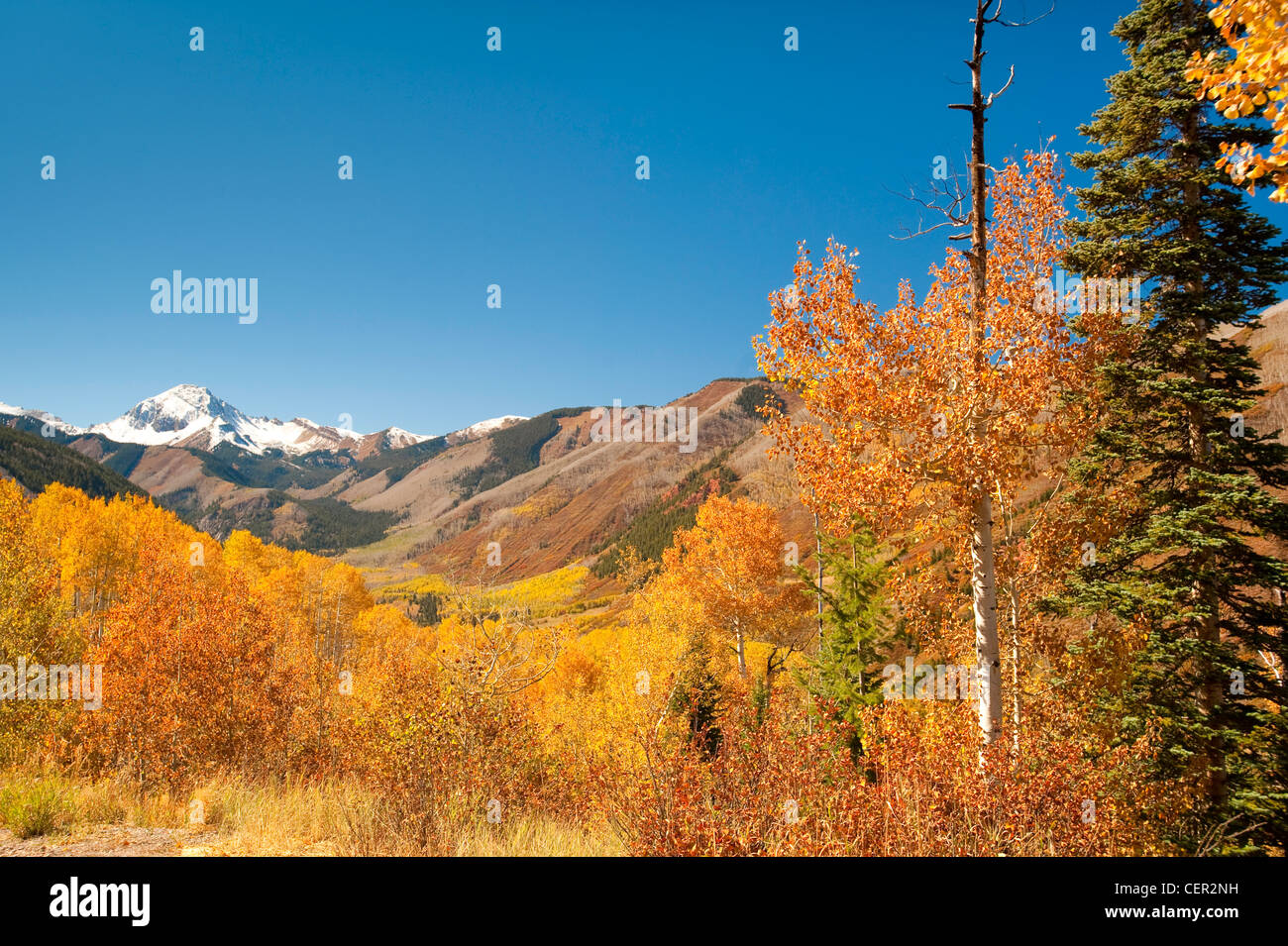 Montagne rocciose in autunno in Colorado Foto Stock