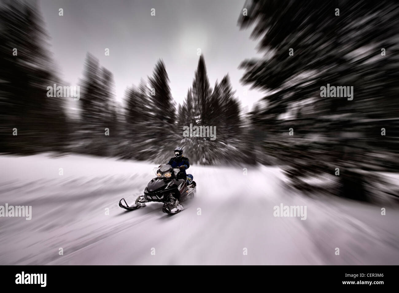 Motoslitte in Serra Nevada Mammoth Mountain California USA Foto Stock