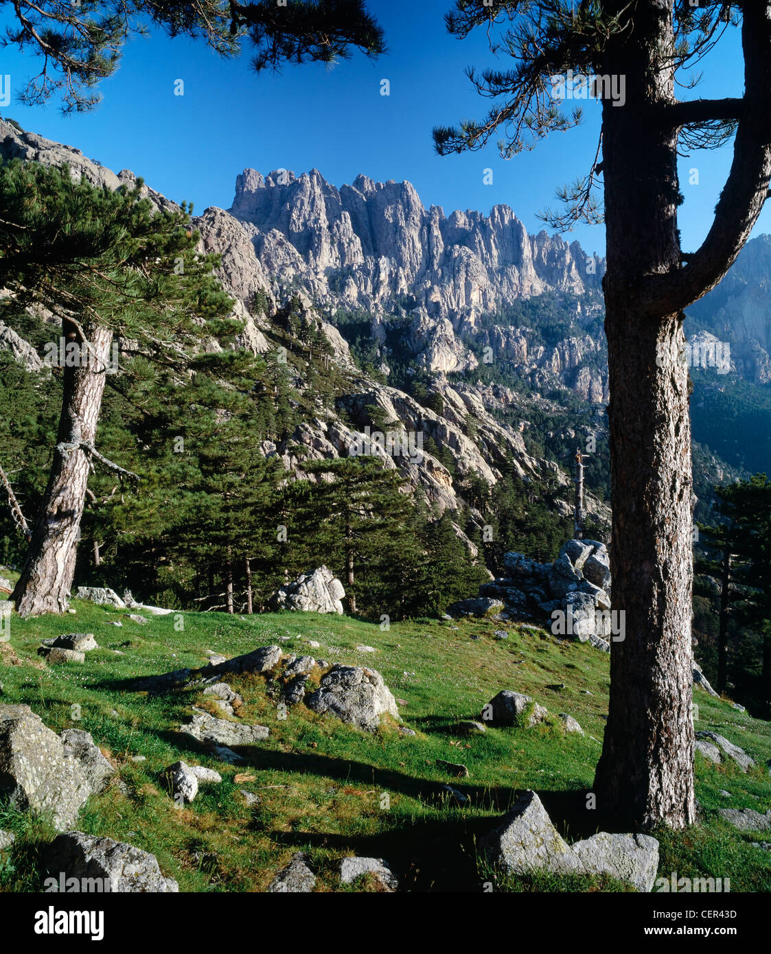 Le Aiguilles de Bavella visto da Col de Bavella, Corse du Sud Corsica. Foto Stock