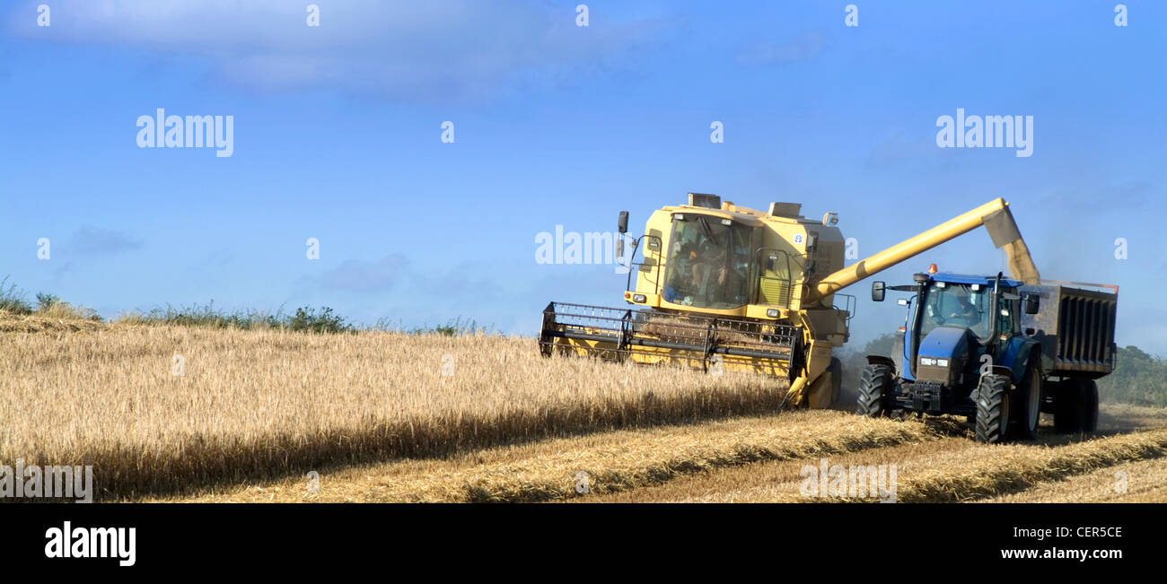 Fienagione a Kidderminster. Kidderminster è affettuosamente conosciuta dai locali come Kiddy. Foto Stock