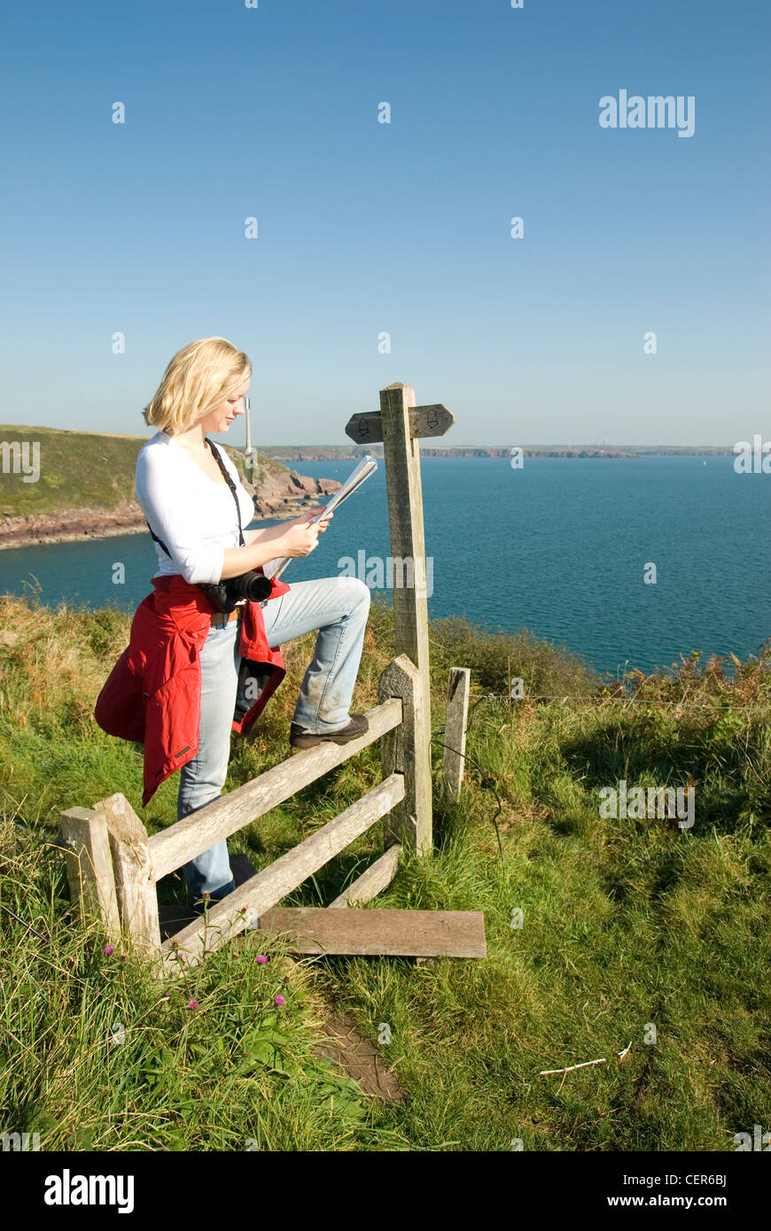 Una femmina di Walker si arresta in corrispondenza di un montante verticale per la lettura di una mappa al di sopra di San Ann la testa del Pembrokeshire costa. Foto Stock