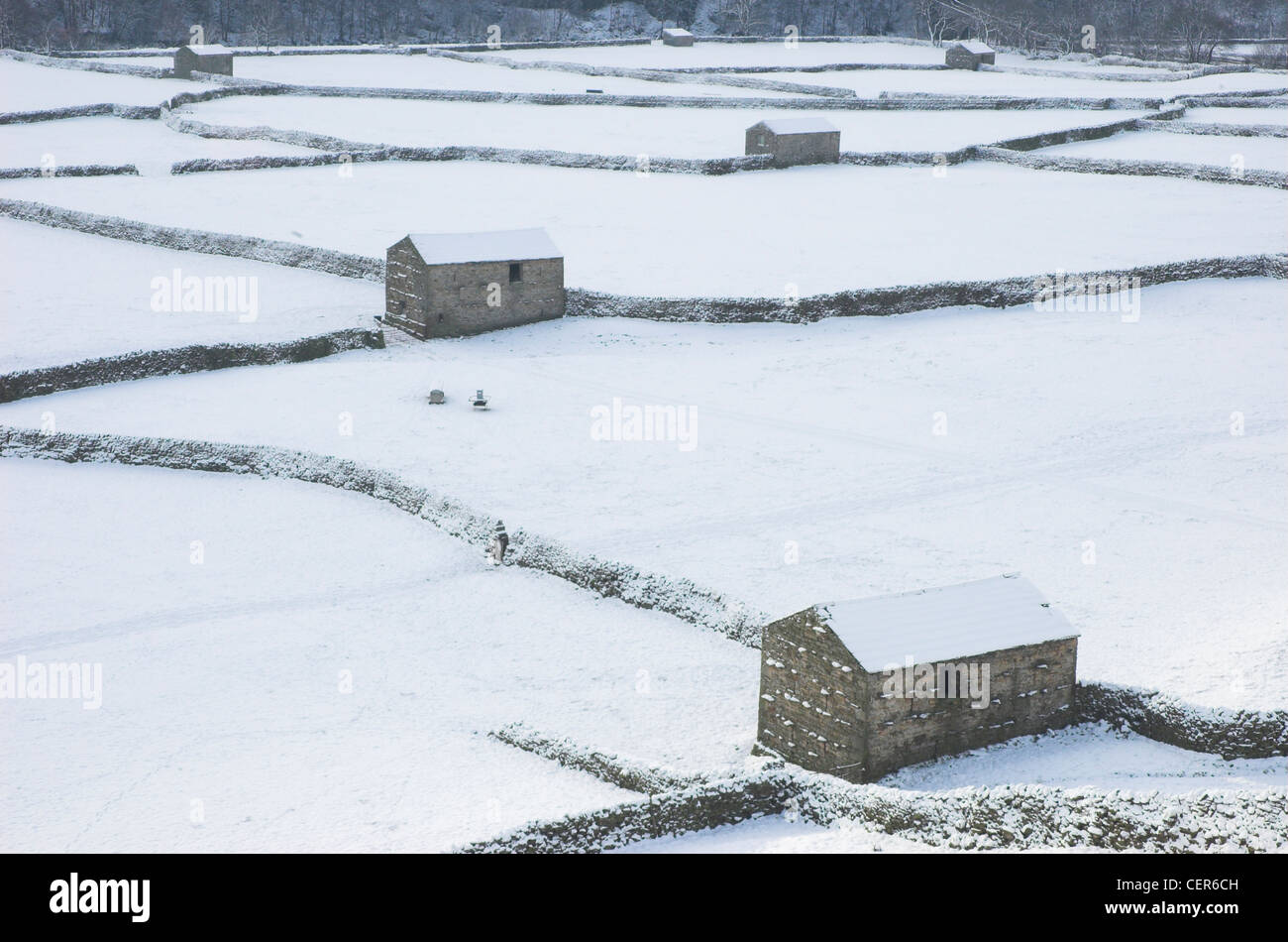 Guardando sopra coperta di neve muri in pietra a secco e fienili a campi in Swaledale. Foto Stock