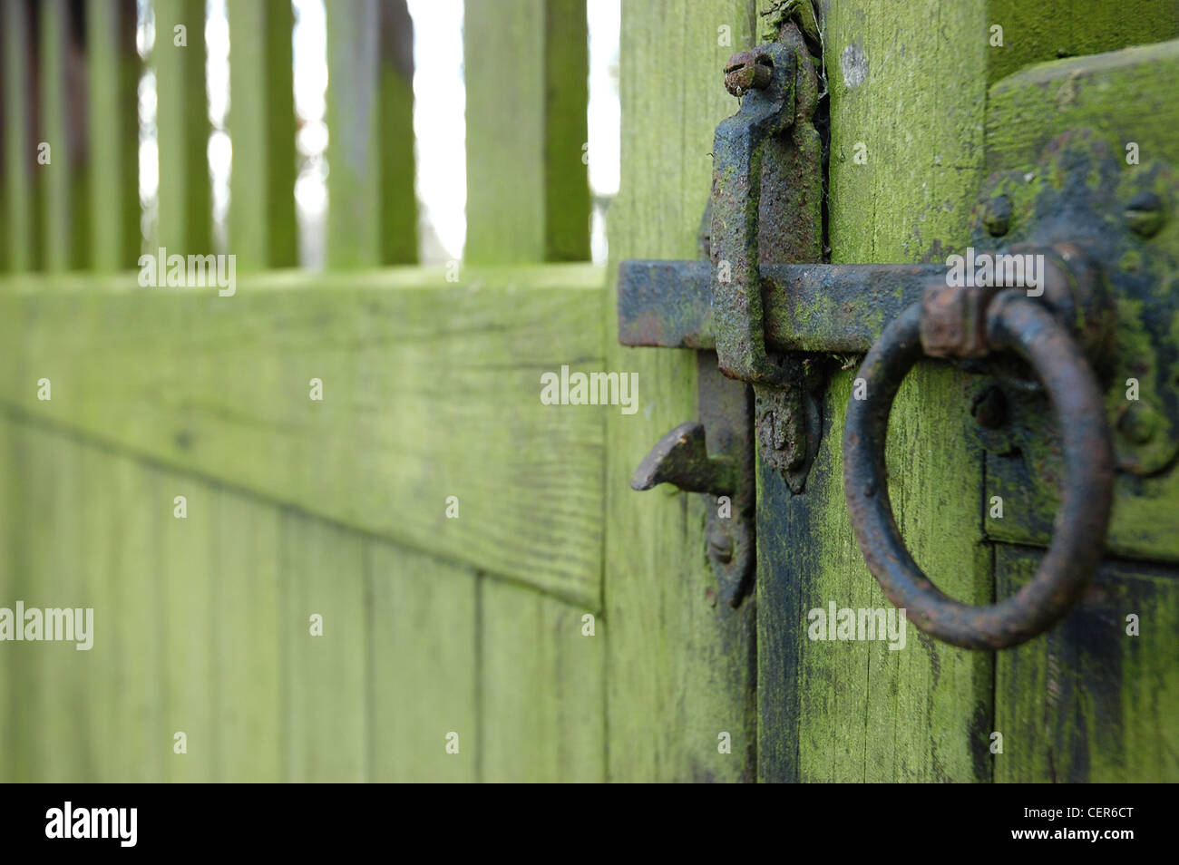 Un cancello con una maniglia tradizionale ricoperto di MOSS nel Suffolk città di Woodbridge. Foto Stock
