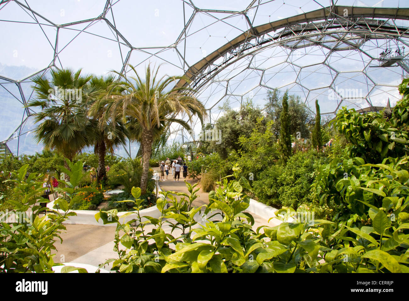 Eden project cornwall immagini e fotografie stock ad alta risoluzione ...