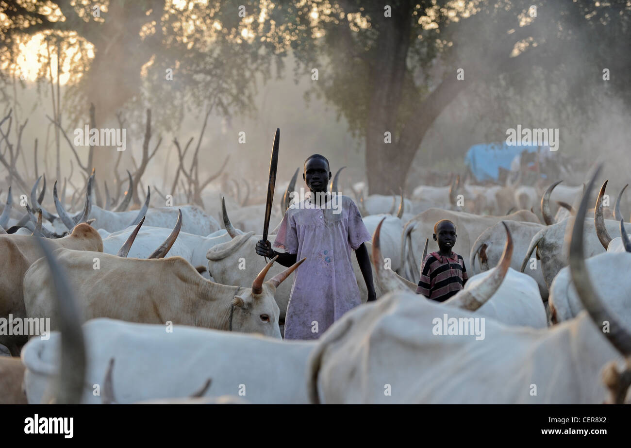 Il SUD SUDAN, Bahr al Ghazal regione dei laghi , membro della tribù Dinka con zebù Vacche Bovini camp vicino a Rumbek Foto Stock