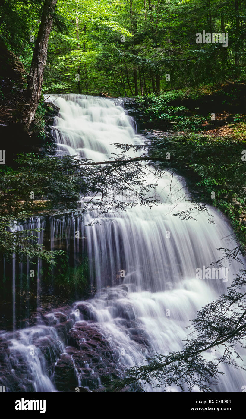 Ganoga Falls cascate del Ricketts Glen State Park, molla Foto Stock