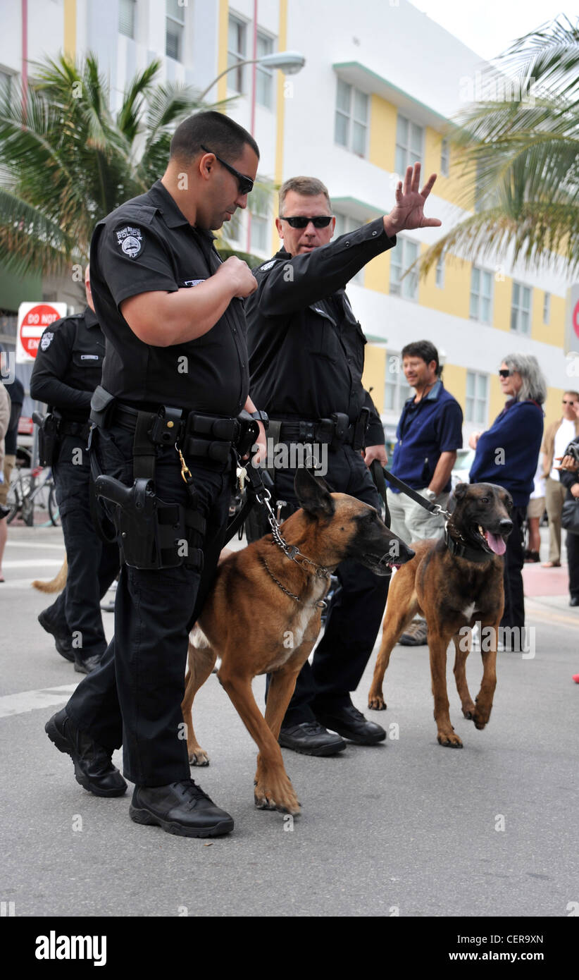 Gli ufficiali di polizia e cane, Miami, Florida, Stati Uniti d'America Foto Stock