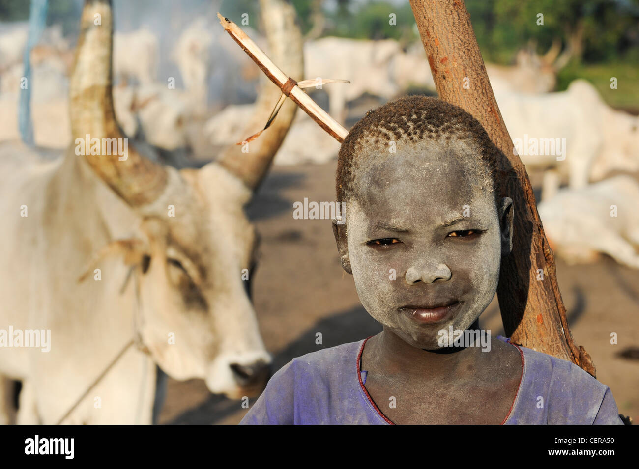 SUDAN MERIDIONALE, regione di Bahr al Ghazal, Stato dei Laghi, tribù Dinka con mucche Zebu nel campo di bestiame vicino a Rumbek, giovane pastore con la faccia macchiata di cenere Foto Stock