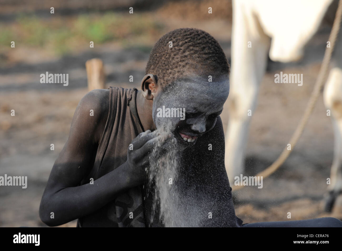 SUDAN MERIDIONALE, regione di Bahr al Ghazal, Stato dei Laghi, tribù Dinka con mucche Zebu nel campo di bestiame vicino a Rumbek, la gente applica cenere diffamata in faccia Foto Stock