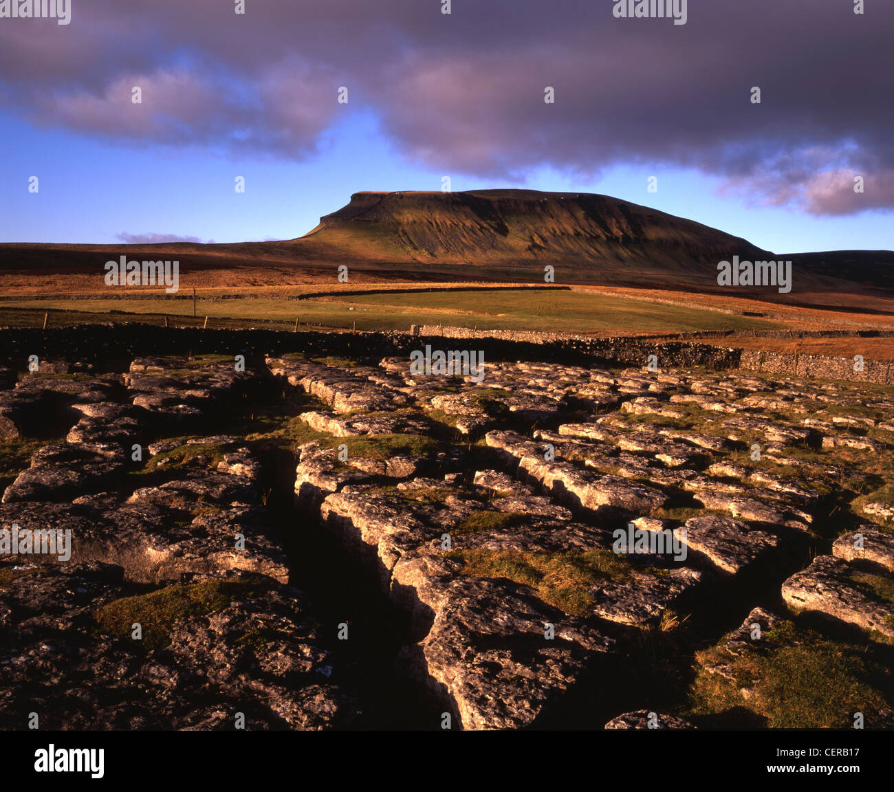 Dale Head su del The Pennine Way. Offre eccellenti vedute di Pen-y-Ghent, una delle famose Tre Cime di Yorkshire Dales. Foto Stock