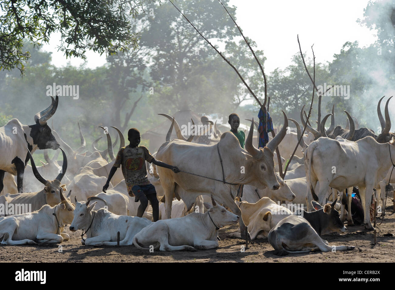 Il SUD SUDAN, Bahr al Ghazal regione dei laghi , membro della tribù Dinka con zebù Vacche Bovini camp vicino a Rumbek Foto Stock