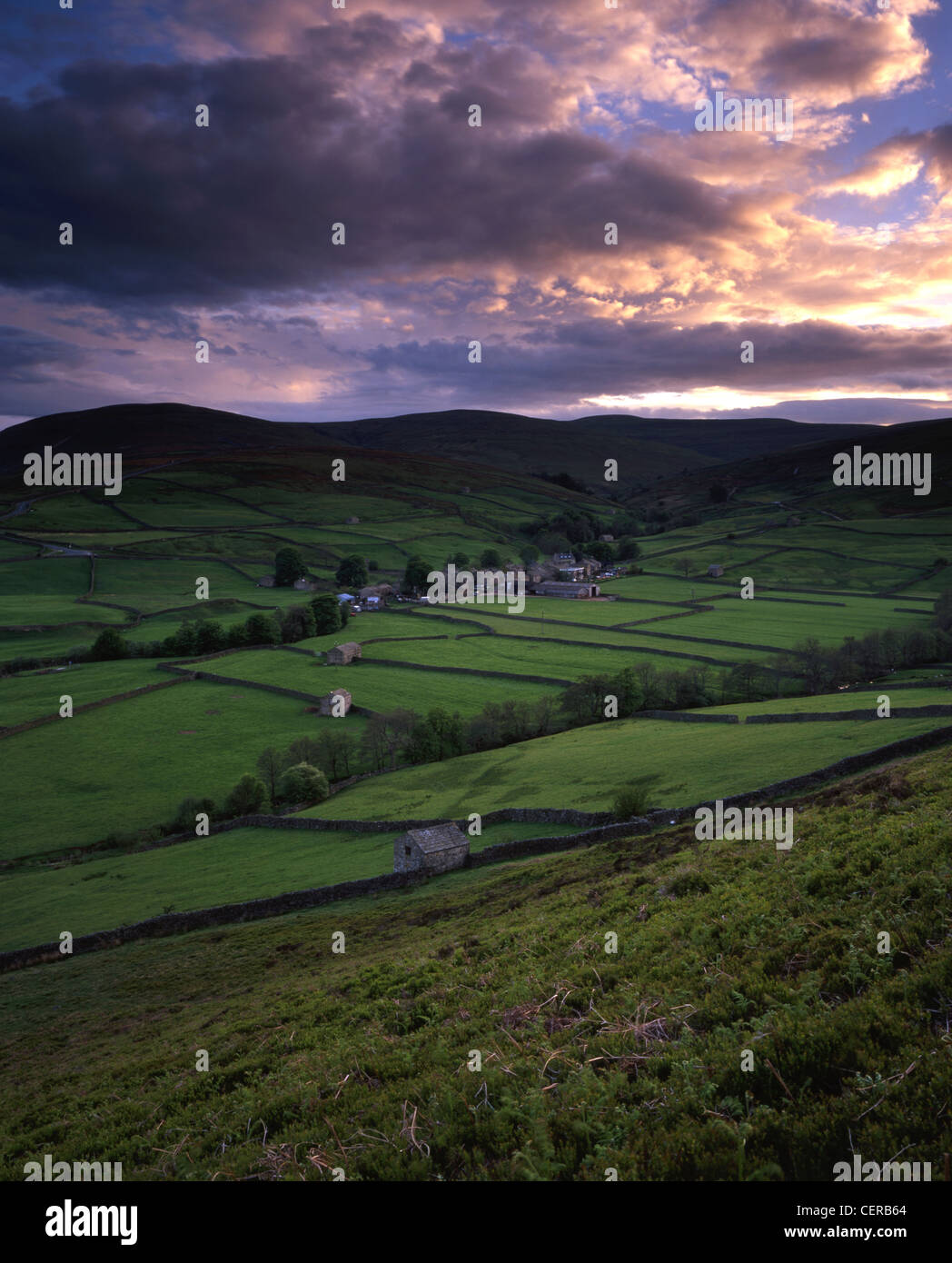 La Pennine Way. Il sentiero sale Kisdon sulla collina per una vista eccellente della frazione di Thwaite e grande Shunner è sceso al di là. Foto Stock