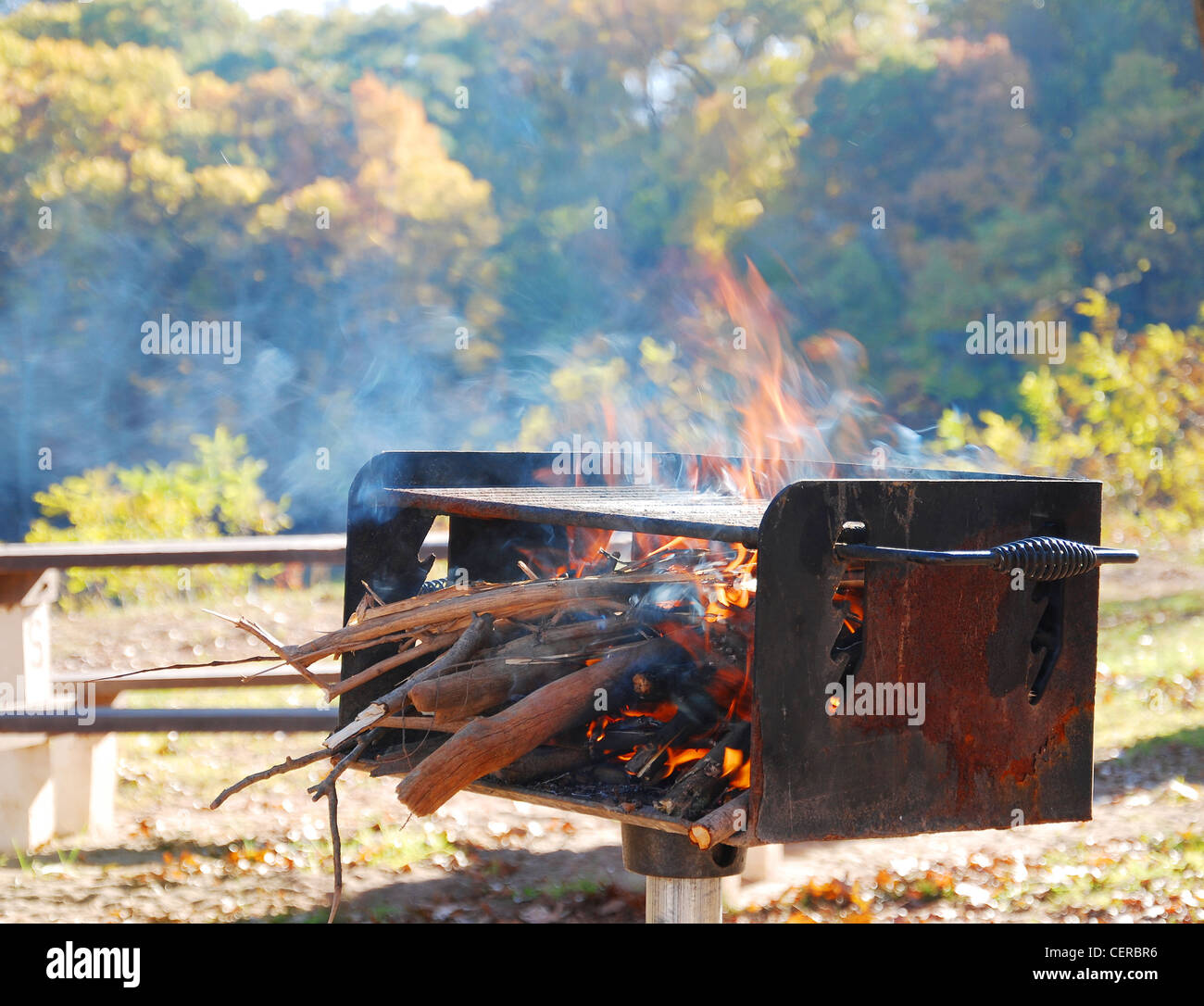 Barbecue,fiamma,fuoco,grill,picnic, legno,falò,cuoco Foto Stock