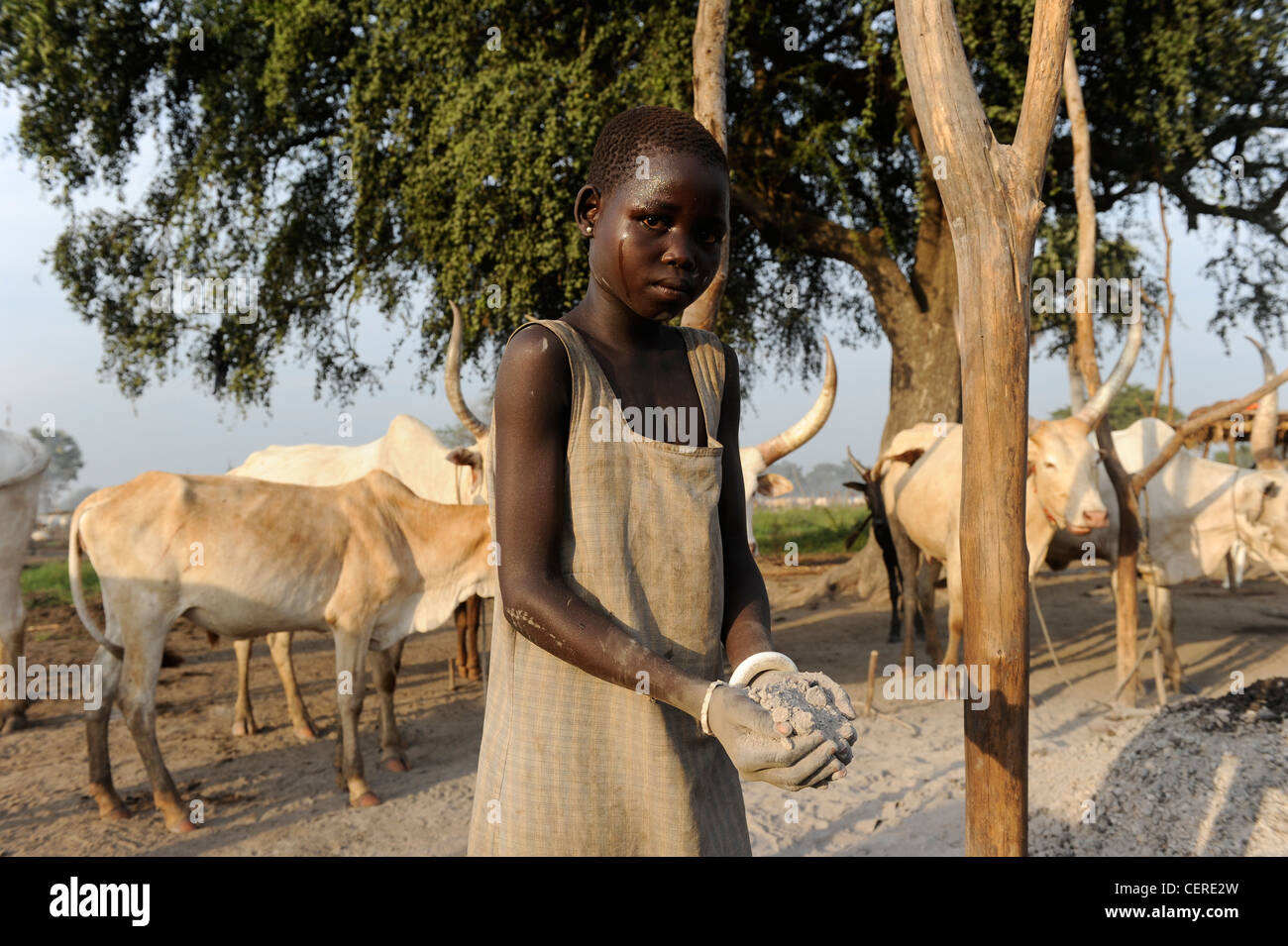 SUDAN MERIDIONALE, regione di Bahr al Ghazal, Stato dei Laghi, tribù Dinka con mucche Zebu nel campo di bestiame vicino a Rumbek, ragazza con cenere Foto Stock