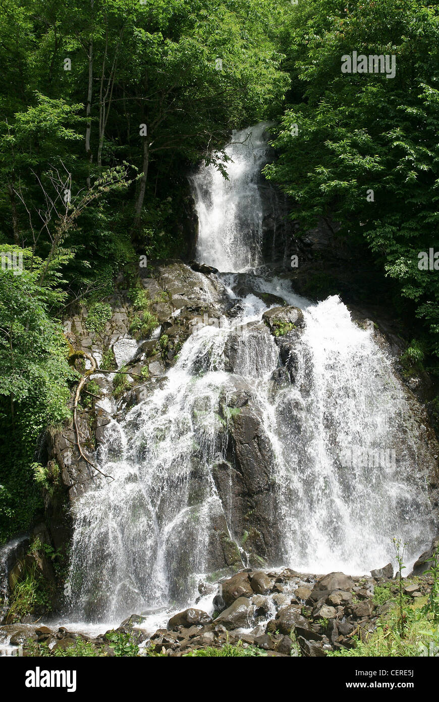 La Georgia, regione di Svaneti, l'Inguri Enguri (fiume) e dam Foto Stock