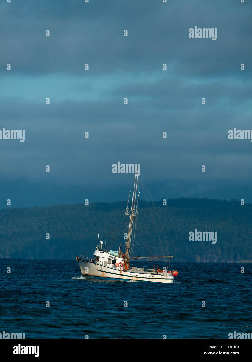 La pesca delle aringhe barche lavorando la Georgia diritta, l'isola di Vancouver. BC Canada. SCO 8035 Foto Stock