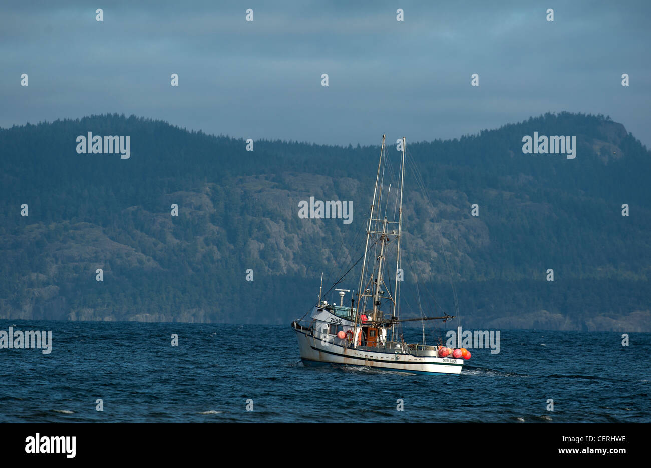La pesca delle aringhe barche lavorando la Georgia diritta, l'isola di Vancouver. BC Canada. SCO 8034 Foto Stock