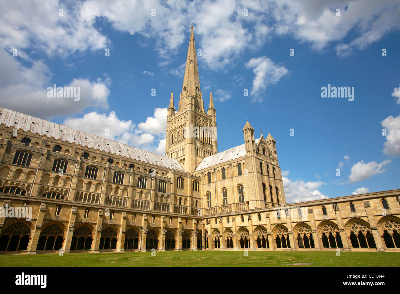 Norwich Cathedral su una luminosa giornata d'estate. Foto Stock