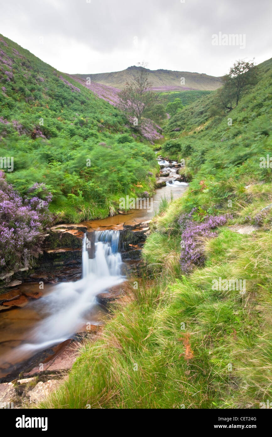 Fairbrook nei boschi Valley, parte del picco elevato Estate appena fuori la A57 Snake Pass Road nel Peak District National P Foto Stock