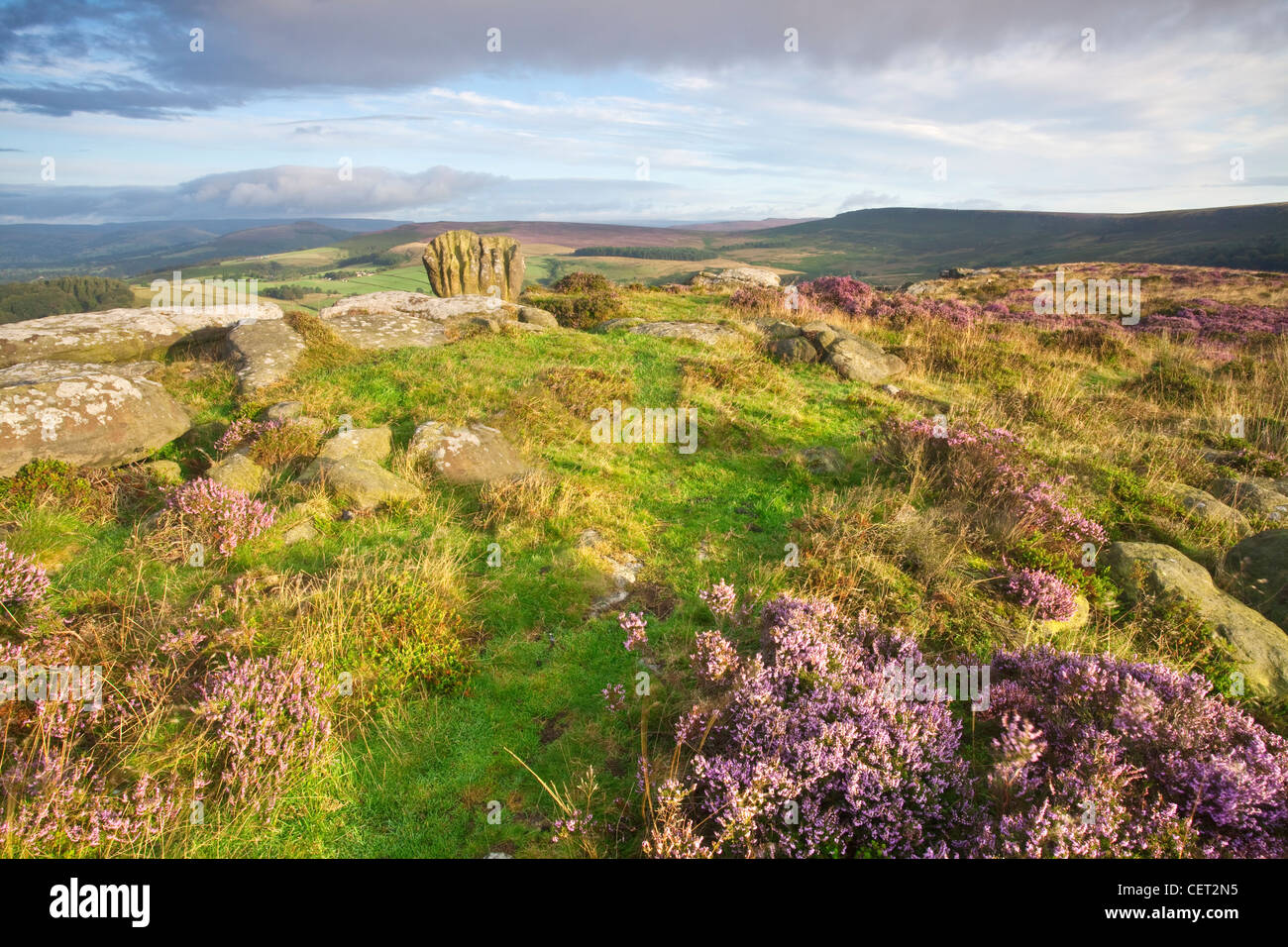 La pietra del fuso a snodo su rocce Carhead sotto bordo Stanage nel Parco Nazionale di Peak District. Foto Stock