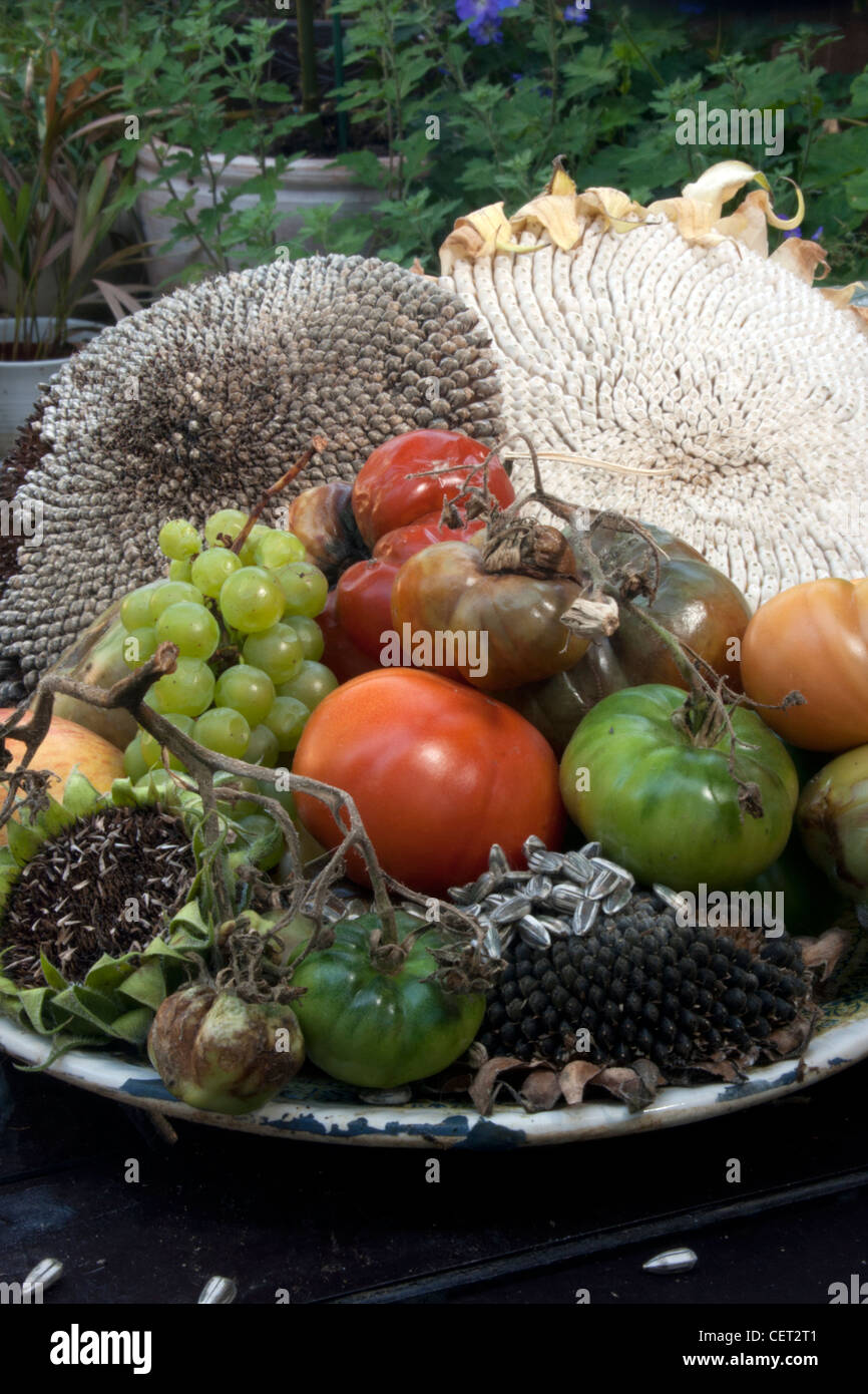 Una piastra di marcio la frutta e la verdura Foto Stock