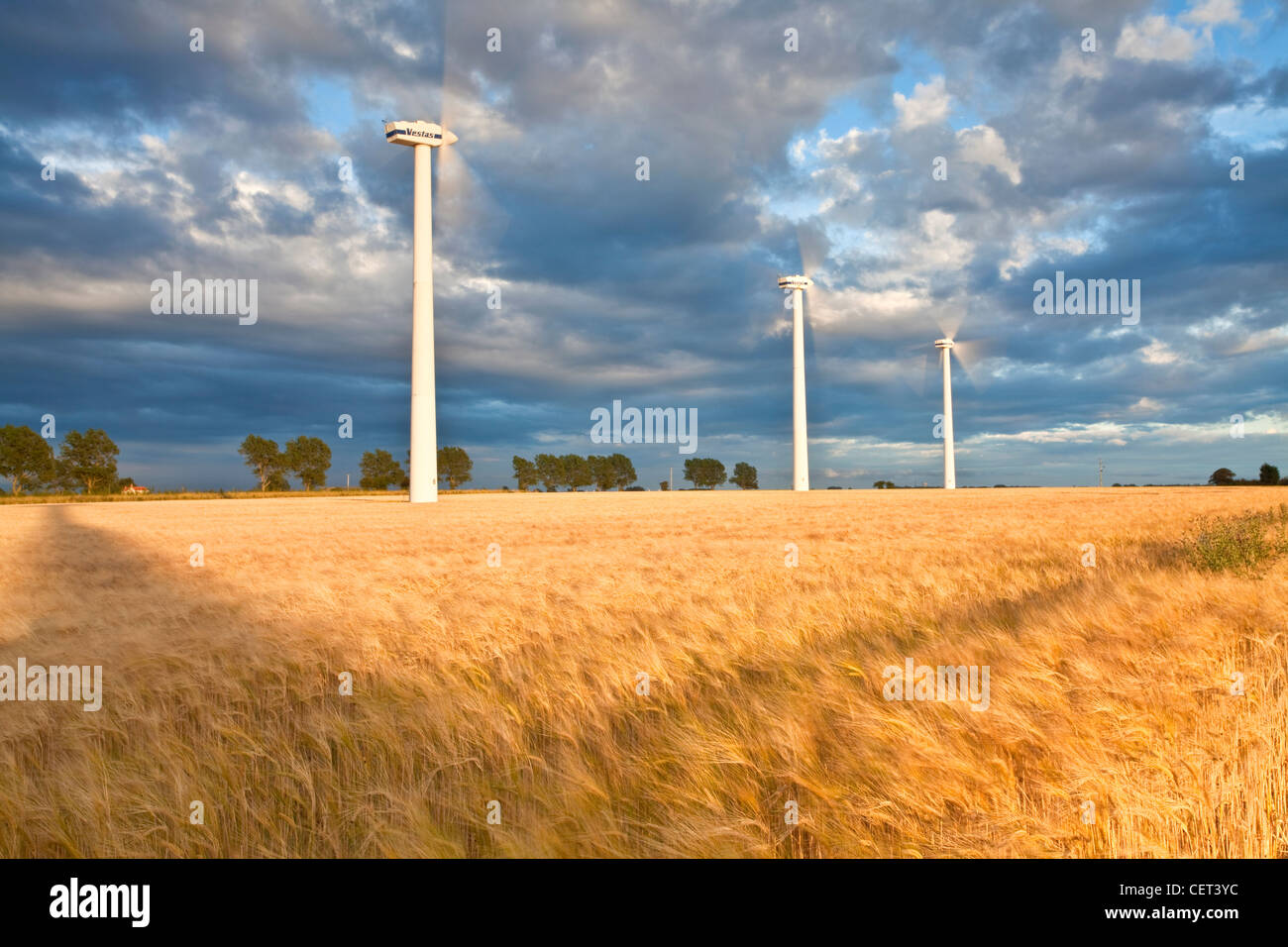 Le turbine eoliche e un estate del raccolto di orzo sulla collina di sangue a Winterton-on-Sea. Foto Stock