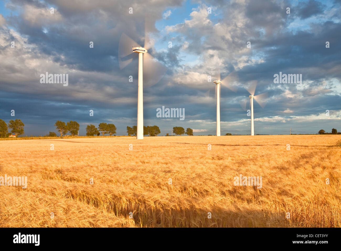 Le turbine eoliche e un estate del raccolto di orzo sulla collina di sangue a Winterton-on-Sea. Foto Stock