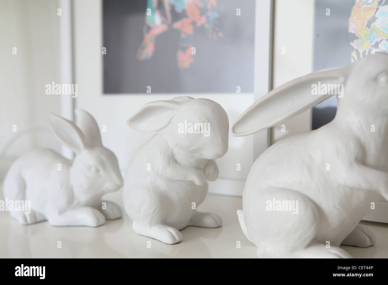 Appartamento in Sydney tre conigli bianchi da un negozio chiamato Macleay sugli equipaggi, Sydney Foto Stock