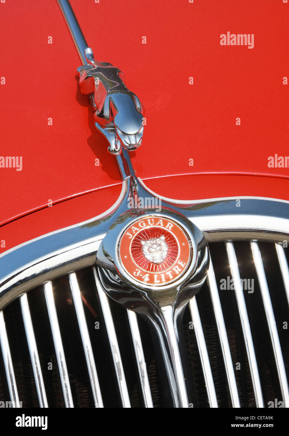 Chiusura del grill di classic Jaguar a Goodwood. Foto Stock